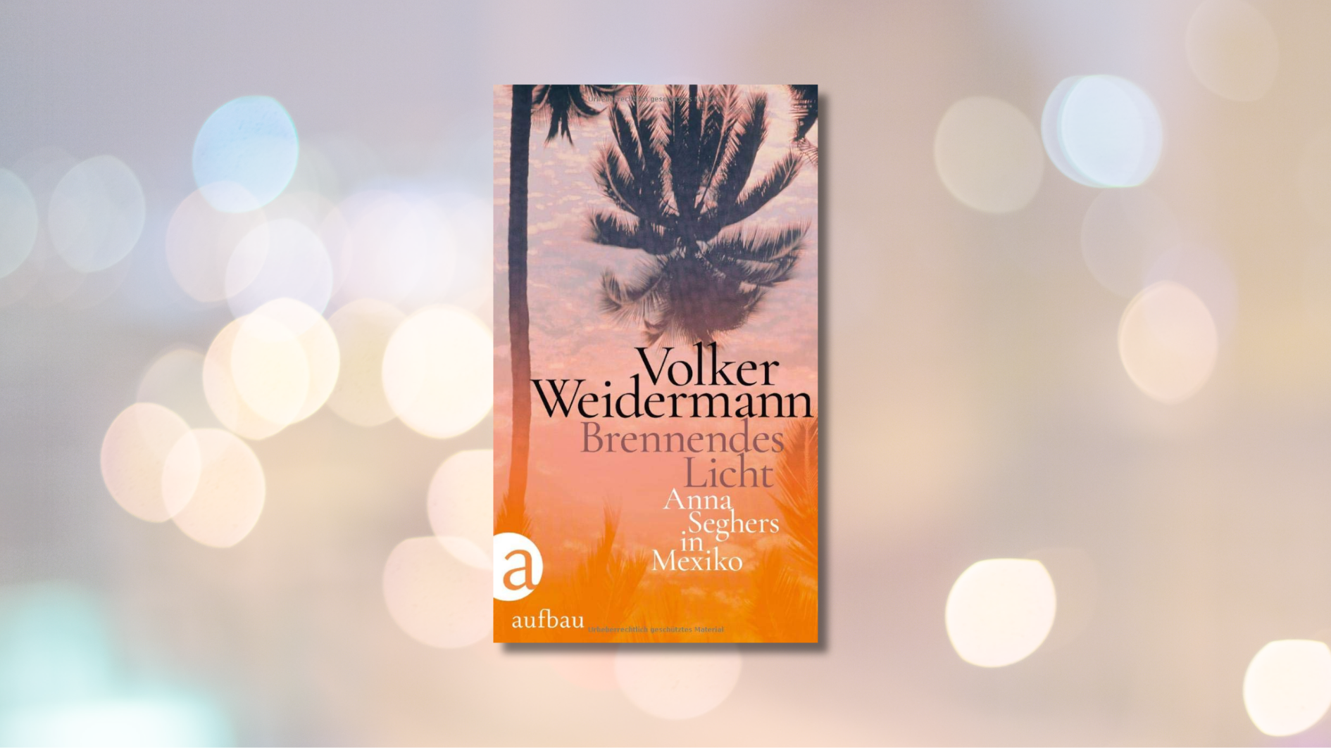 Volker Weidermann_Brennendes Licht_Anna Seghers